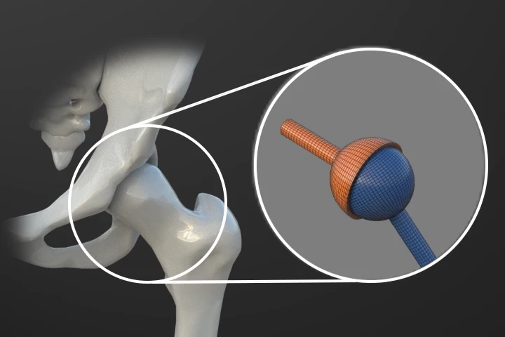 3D 애니메이터 김다홍