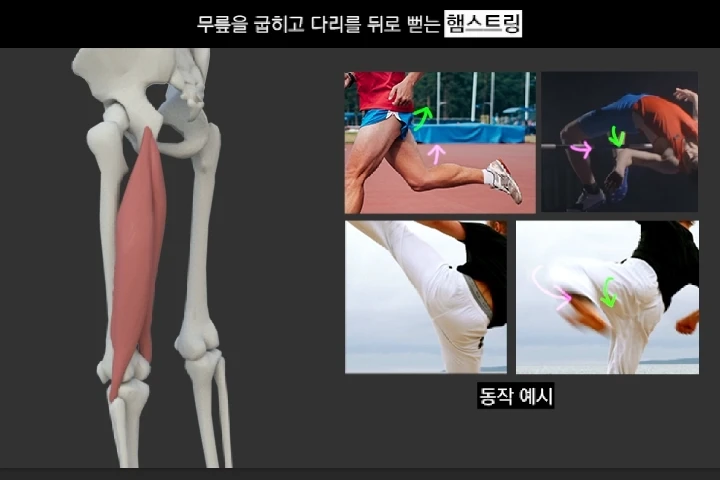 3D 애니메이터 김다홍