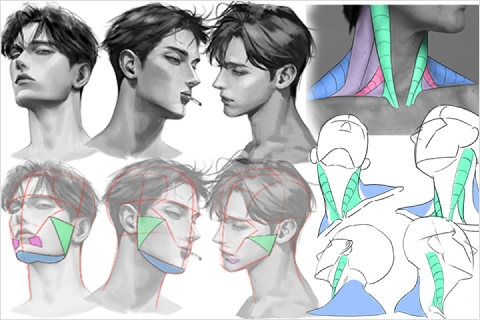 일러스트레이터, 리카