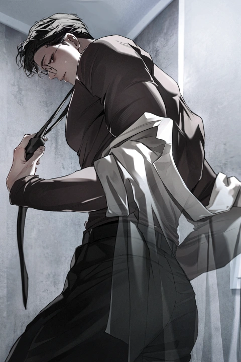 Illustrator, Yeomra