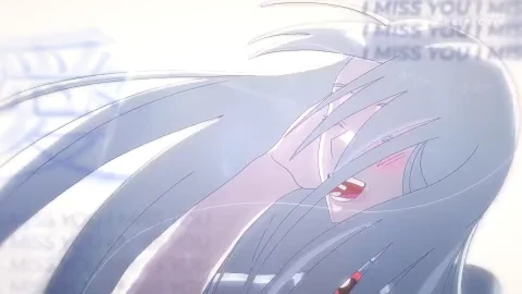 애니메이터, 패머