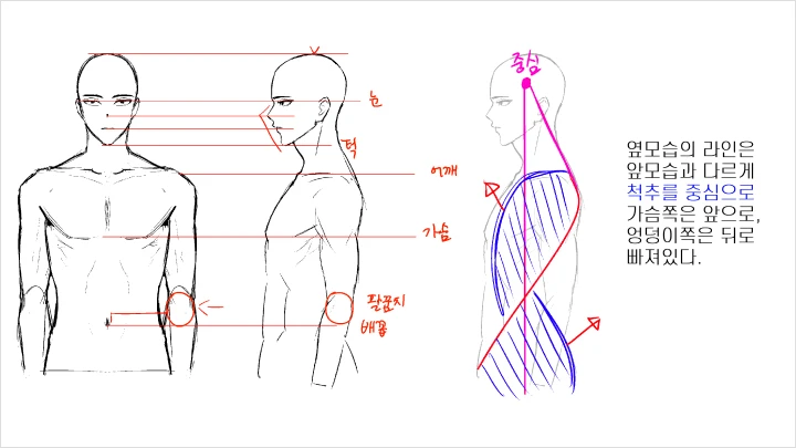 curriculum-2danimation-femmer-section02-3.webp