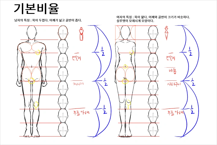 애니메이터, 패머