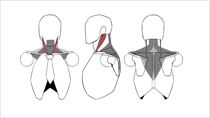 curriculum_illustrator_heosungmoo_14.webp