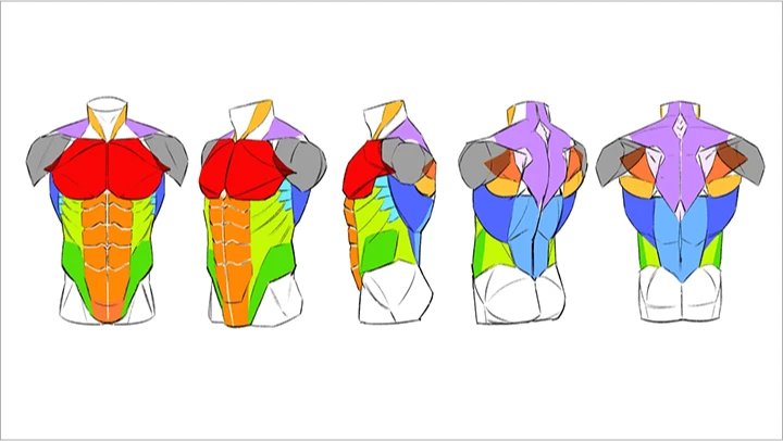 curriculum_illustrator_heosungmoo_15.webp
