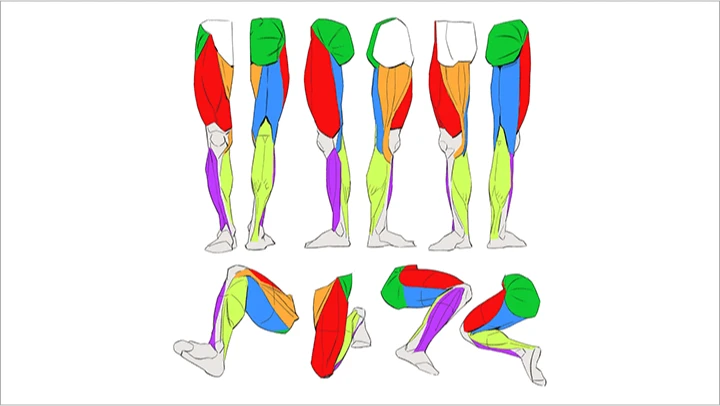 curriculum_illustrator_heosungmoo_18.webp