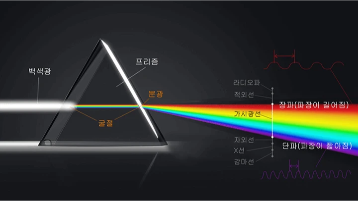 curriculum_illustrator_sangminchoi_23.webp