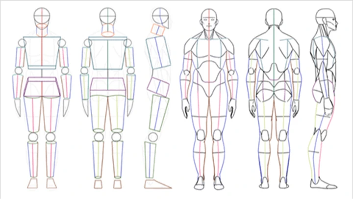 curriculum_illustrator_haren_11.webp
