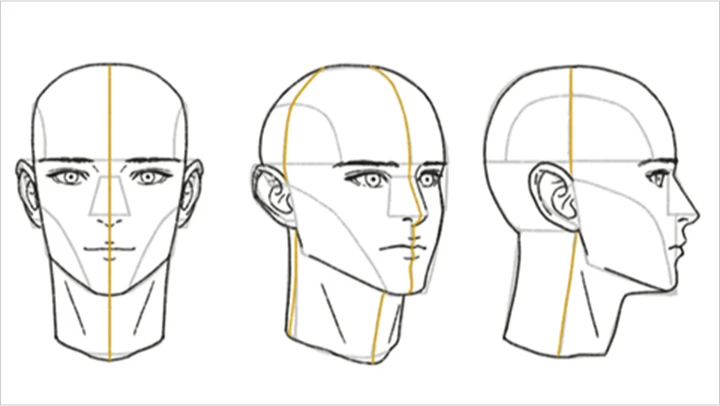 curriculum_illustrator_haren_12.webp
