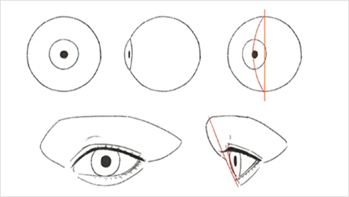 curriculum_illustrator_haren_13.webp