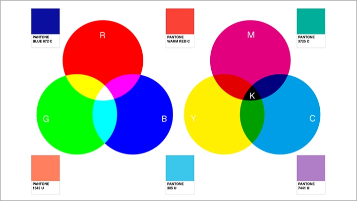 curriculum_graphicdesign_pangpangpang17.webp
