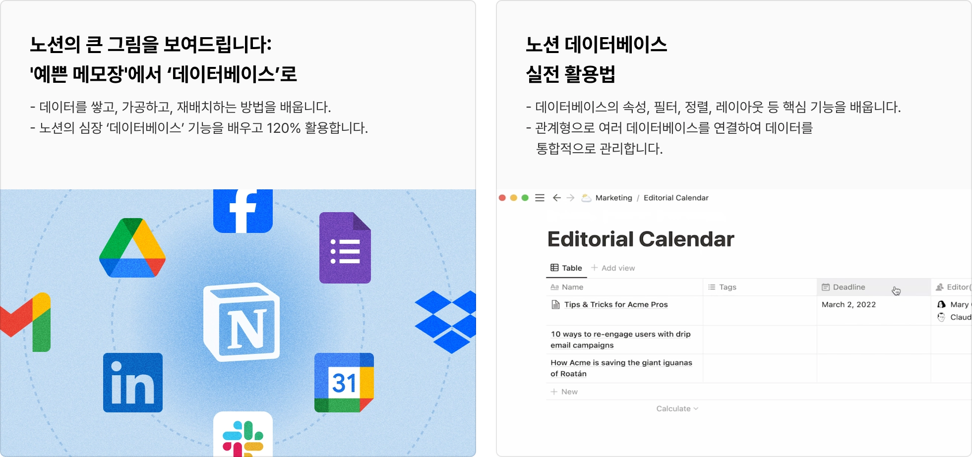 노션다움 시스템