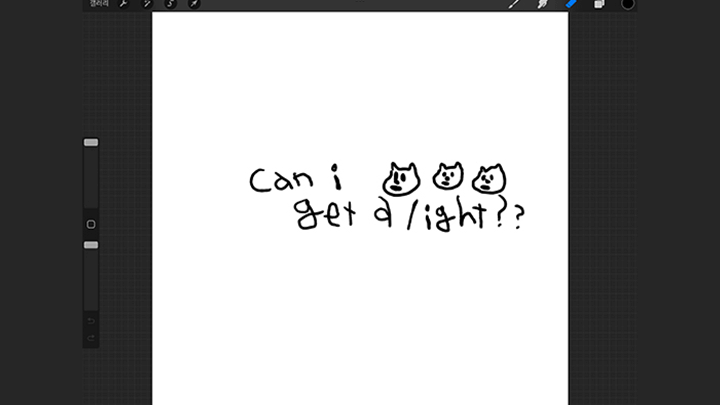 상페--호노curriculum-18.png