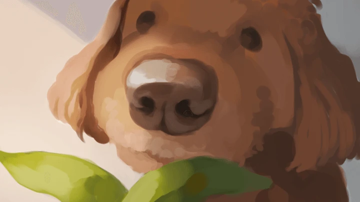 curriculum_illustrator_kelly_34.webp