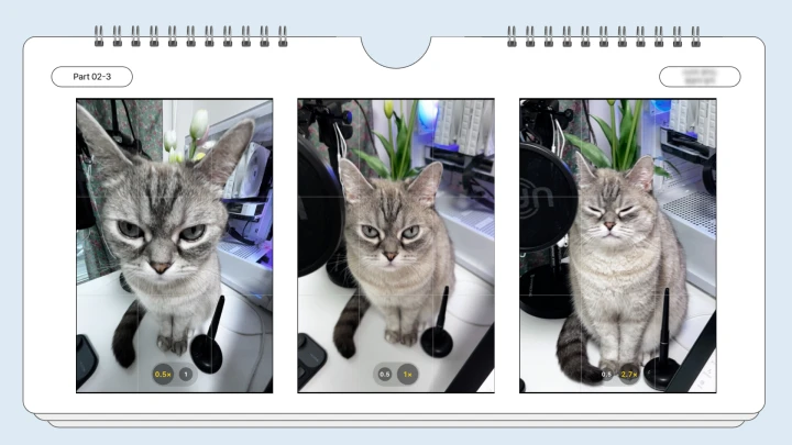 curriculum_illustrator_dubu_section02_4.webp