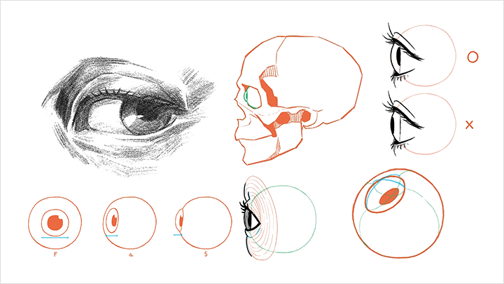 illustrator-cosmos-curriculum-08.png