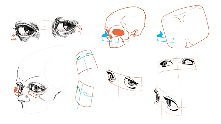 illustrator-cosmos-curriculum-10.png