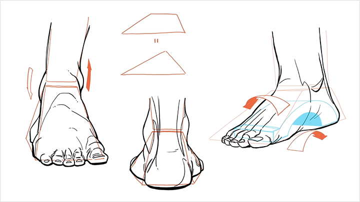 illustrator-cosmos-curriculum-12.png