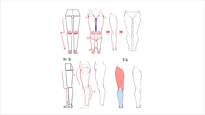 curriculum-illustrator-midori-zh-section02-2.webp