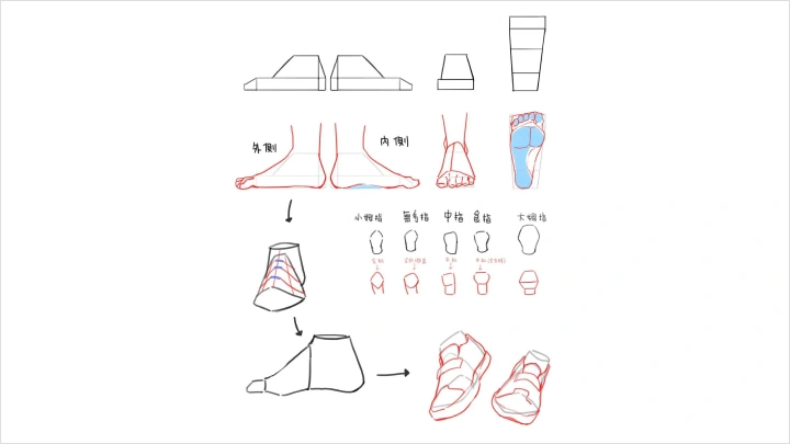 curriculum-illustrator-midori-zh-section02-3.webp