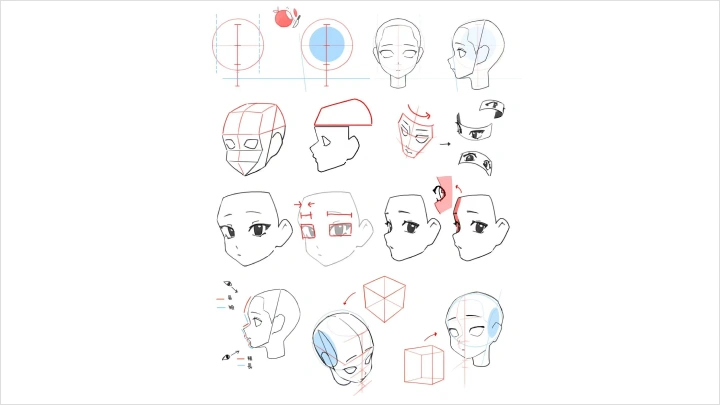 curriculum-illustrator-midori-zh-section02-4.webp
