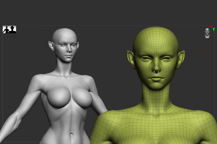 3D Character Artist VSQUAD Studio