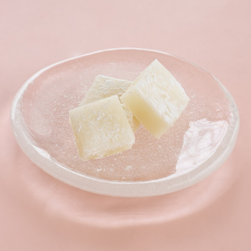 갸또디솔레 대표 서지현