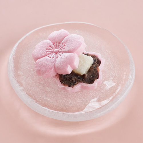 갸또디솔레 대표 서지현