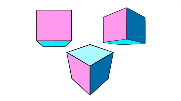 curriculum-illustrator-tt-04-1.webp