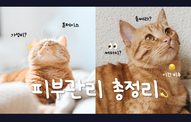 ImageSlide<center><span style="color:#fff;">유튜브 썸네일 (트렌드형)</span></center>