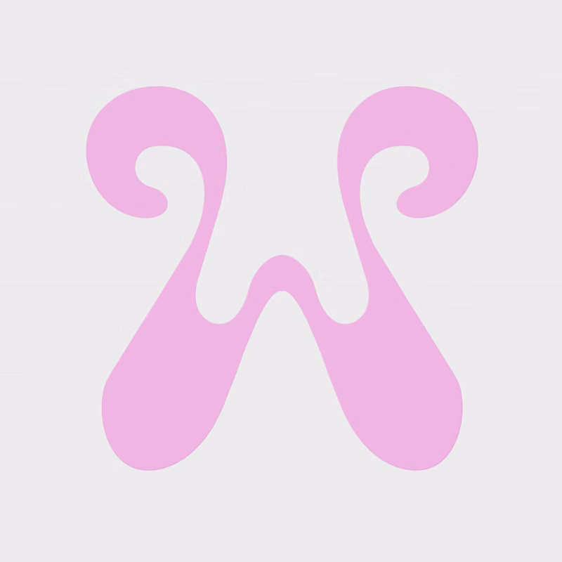 ImageSlideMotion Output