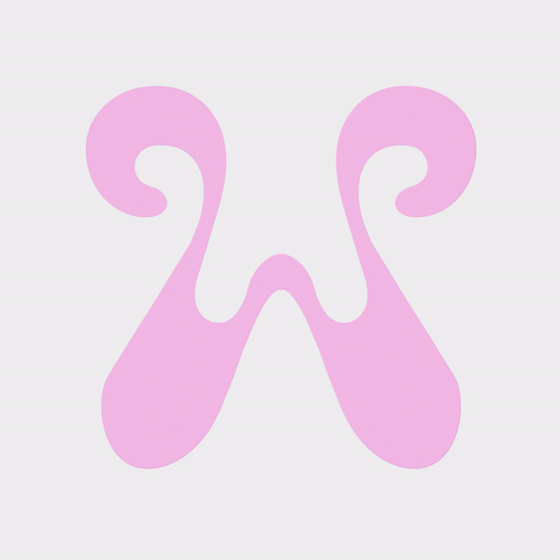 ImageSlideMotion Output
