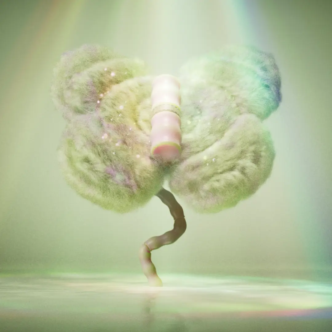 ImageSlide활용 예시