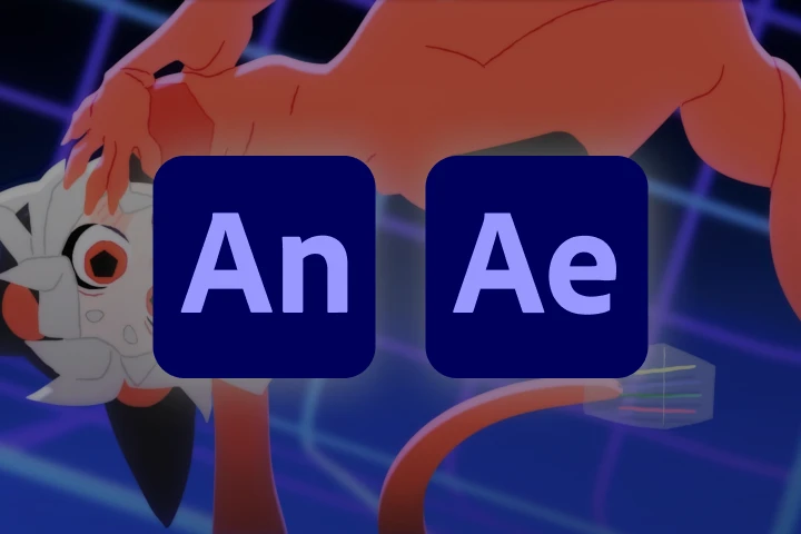 programs