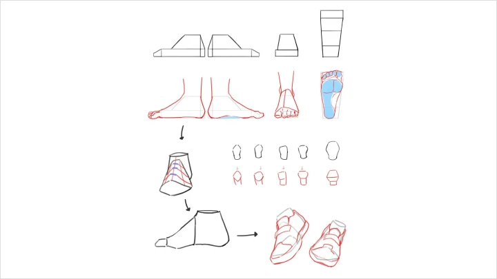 curriculum_curriculum_illustrator_midori_zh_section02_3.webp