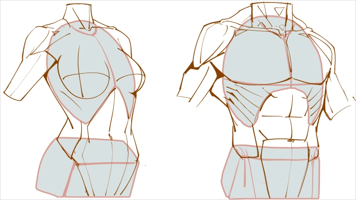 curriculum-drawingeducator-kouza-us-03-2.webp