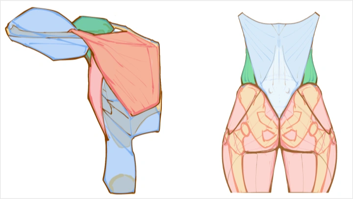 curriculum-drawingeducator-kouza-us-04.webp