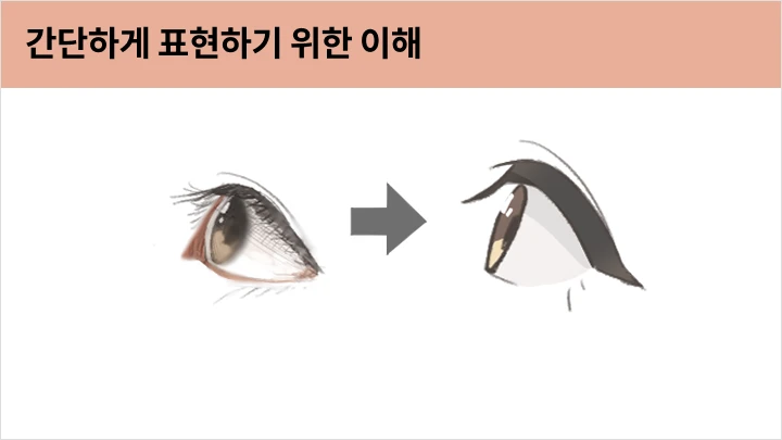 curriculum_illustrator_siwaa_jp_01.webp