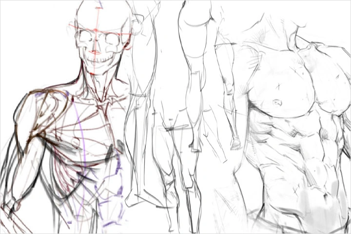 ความสำคัญของพื้นฐานการวาดที่ดึงดูดสายตาแม้จะแค่วาดเล่น