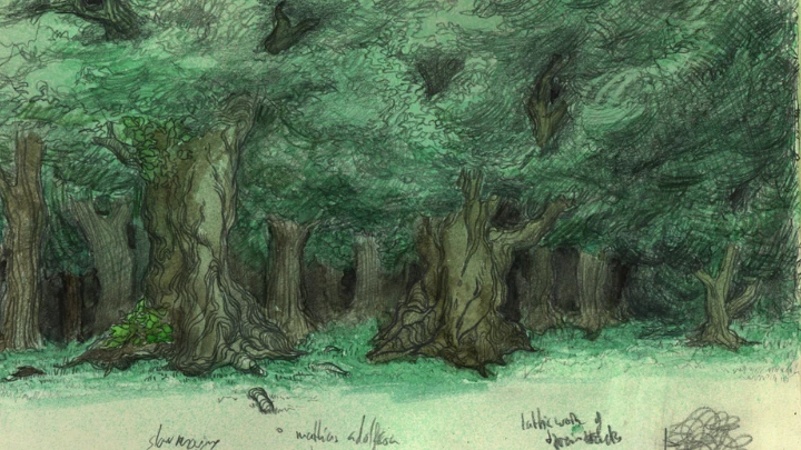 curriculum_curriculum_animationdirector_olivermottram_us01.webp