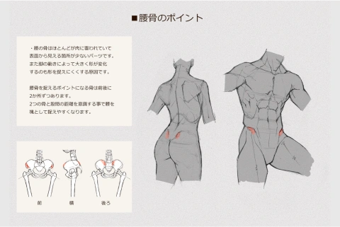 イラストレーター 末冨正直 講座の例題
