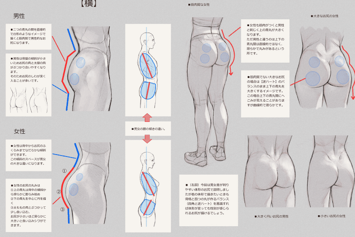 イラストレーター 末冨正直 ポイント