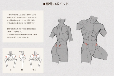 イラストレーター 末冨正直 講座内容