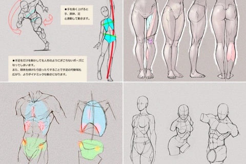 イラストレーター 末冨正直 講座内容