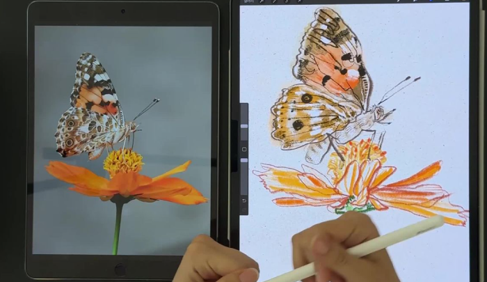 curriculum-asset-drawingdawum-04-2.webp