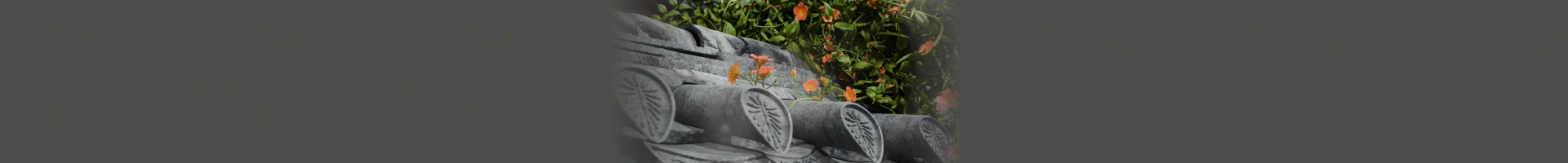 배경 이미지