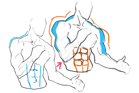 筋肉量を自在に変化させて描く方法