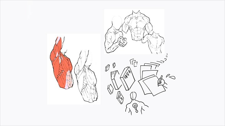 curriculum-illustrator-marimu-jp-section01.webp