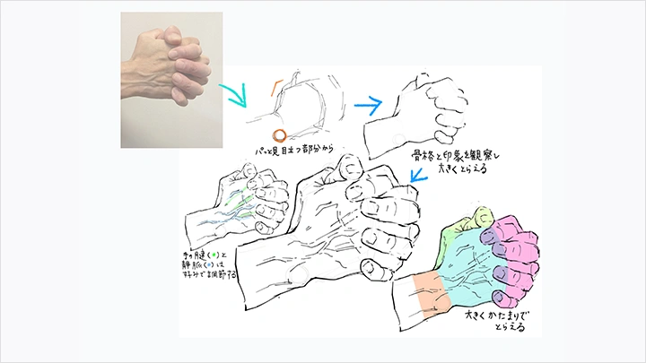 curriculum-illustrator-marimu-jp-section02.webp