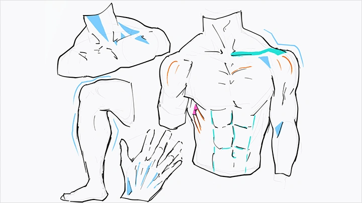 curriculum-illustrator-marimu-jp-section03.webp